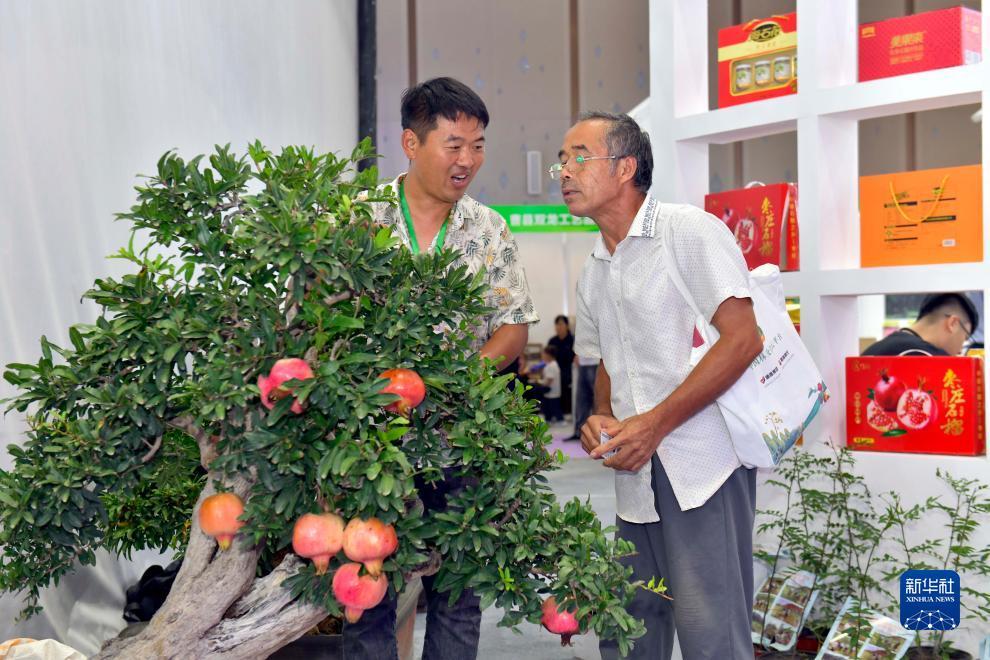 百老汇电子票